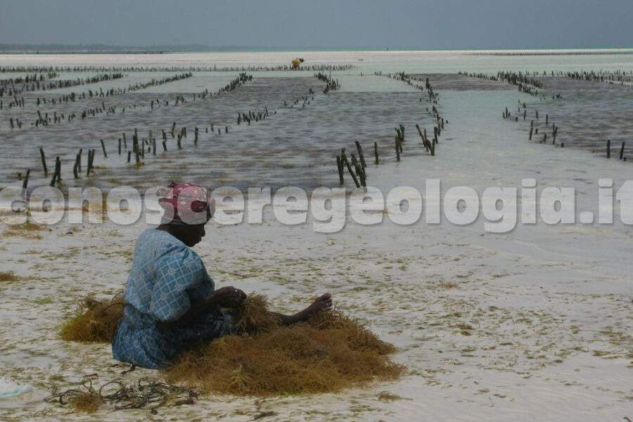 Premiazione del 2° Concorso di Fotografia sul tema ‘’Nutri Terra’’: L’Influenza della Geologia sulle produzioni Alimentari