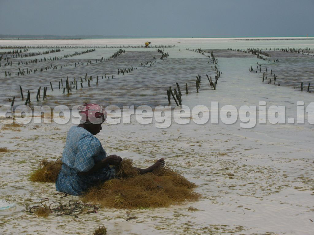 Premiazione del 2° Concorso di Fotografia sul tema ‘’Nutri Terra’’: L’Influenza della Geologia sulle produzioni Alimentari