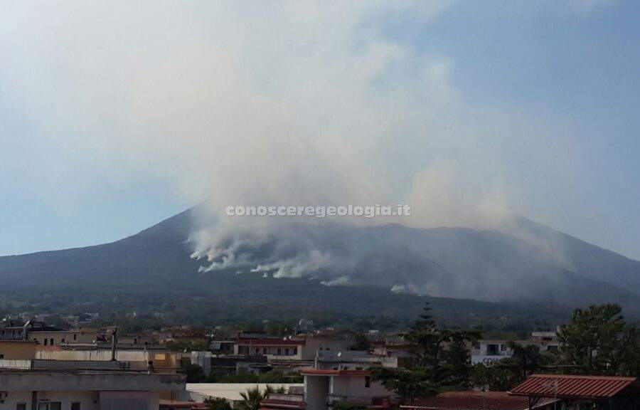 Incendi, il Presidente della SIGEA scrive a Draghi
