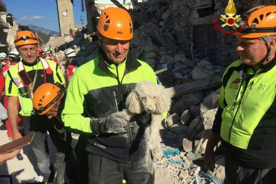 Terremoto Italia centrale, Amatrice 25 agosto 2016 – FOTO VIGILI DEL FUOCO
