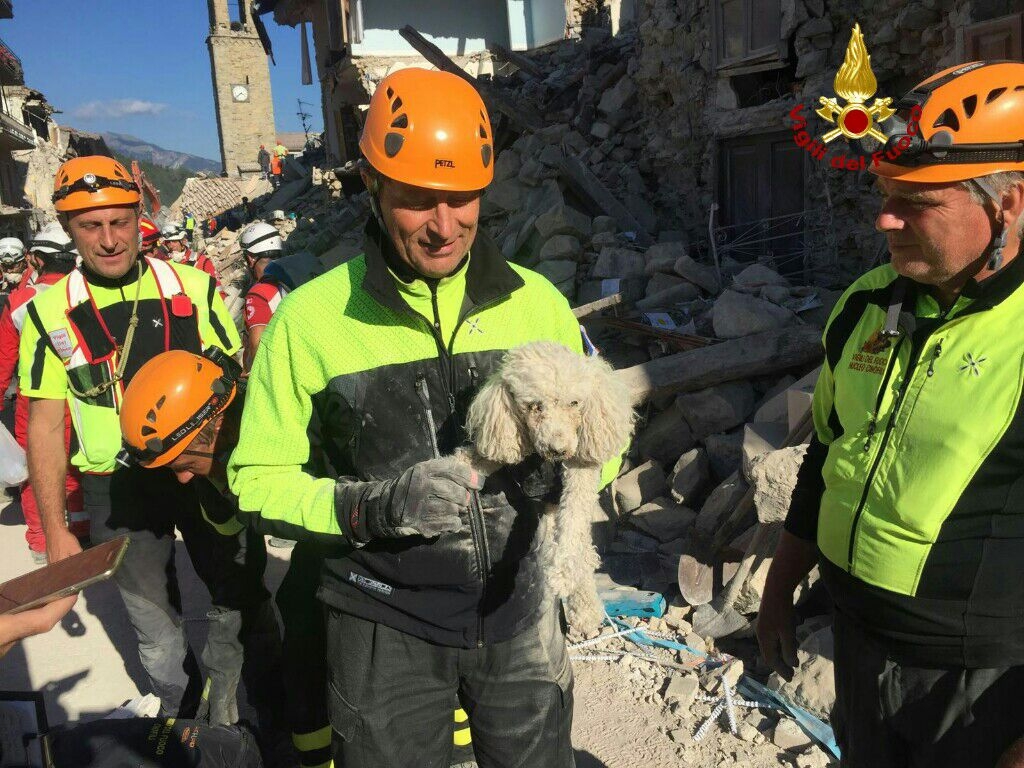 Terremoto Italia centrale, Amatrice 25 agosto 2016 – FOTO VIGILI DEL FUOCO