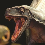 Dinosauri Giganti dall’Argentina in mostra a Padova – FOTOGALLERY