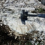 Geologi alla geoescursione nel Matese sannitico-molisano – FOTOGALLERY