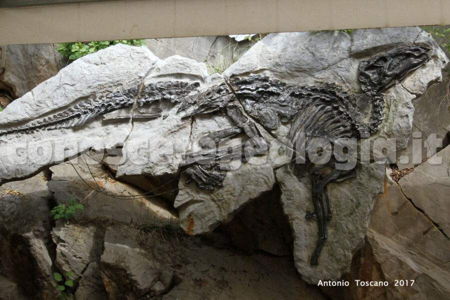 Il dinosauro Antonio