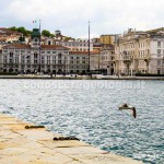 Trieste, parte il 36° convegno nazionale del GNGTS