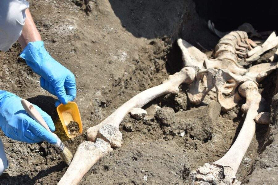 Pompei, emerge uno scheletro nel cantiere dei nuovi scavi