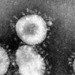 Emergenza Coronavirus, i geologi scrivono a Conte