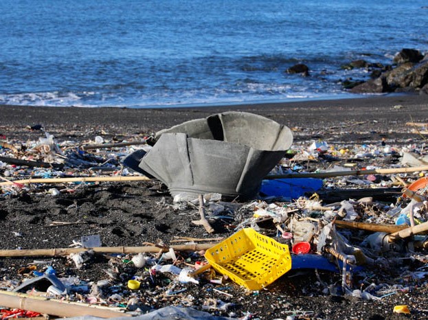 Le recenti responsabilità penali in campo ambientale introdotte dalla Legge 68 del 2015. Diritto o dovere ad un ambiente salubre?